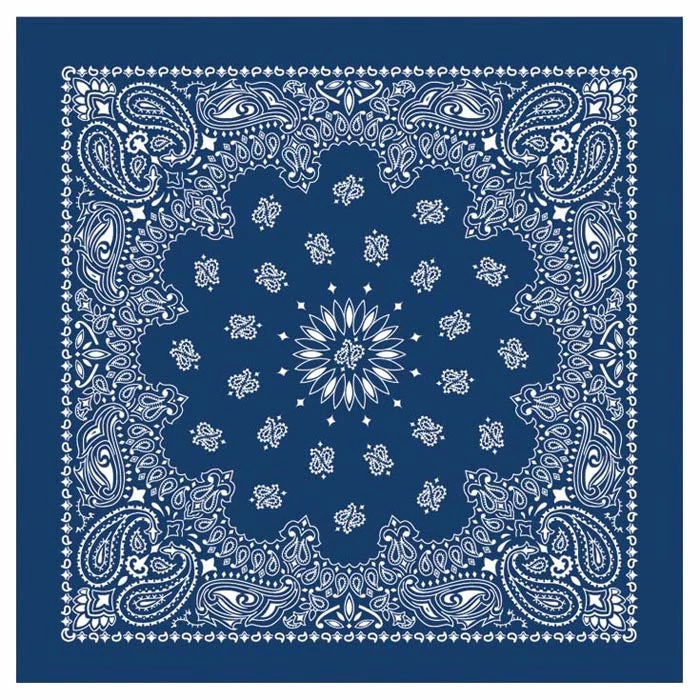 Top 10 ✨ CAROLINA MANUF Liberty Mountain Bandana ⭐ 3 CAROLINA MANUF Liberty Mountain Bandana