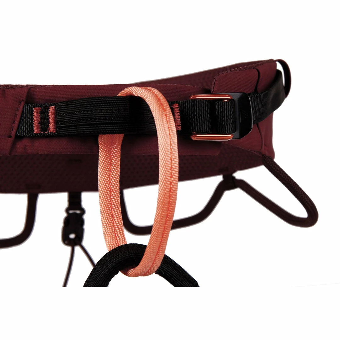 Best reviews of 😍 Blue Ice Cuesta 👩 Women's Harness ✔️ 5 Blue Ice Cuesta Women's Harness