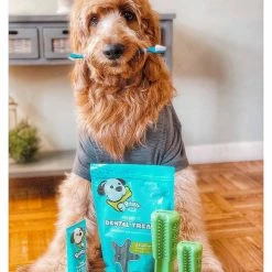 Cheapest ✨ Bristly Prebiotic Dental Treat 🎉 7 Bristly Prebiotic Dental Treat