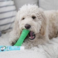 Hot Sale 🛒 Bristly Prebiotic Toothpaste 😉 9 Bristly Prebiotic Toothpaste