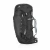 Backpacks & Duffels Gregory Denali 100