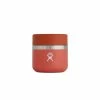 Hydro Flask 8oz Insulated Food Jar Kitchen