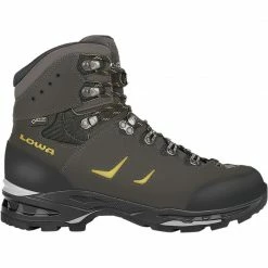 Approach Shoes Lowa Camino GTX Men's