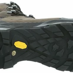 Approach Shoes Lowa Camino GTX Men's