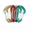 Best reviews of 🥰 Edelrid Nineteen G Sixpack Non-locking Carabiners 💯 1 Edelrid Nineteen G Sixpack Non-locking Carabiners