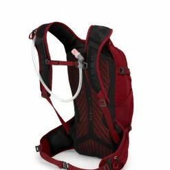 Backpacks & Duffels Osprey Raptor 14