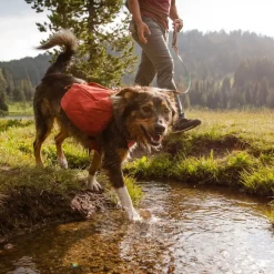 Pets Ruffwear Front Range Day Pack