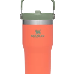 Stanley Iceflow Flip Straw Tumbler