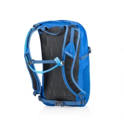 Backpacks & Duffels Gregory Inertia 15